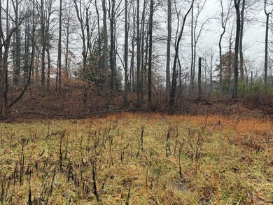 40 Forest Way Cir, Burnside, KY 42519 - photo 7