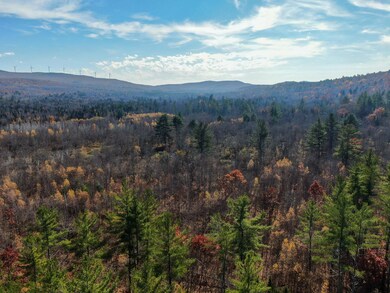 DJI_0539