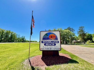 26477 MN-78 Cabin #2 - 1.jpeg