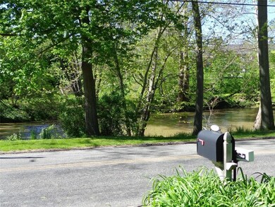 Close up of the flowing Black River