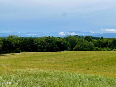 2034 River View Dr unit 1, Morristown, TN 37813 - photo 5