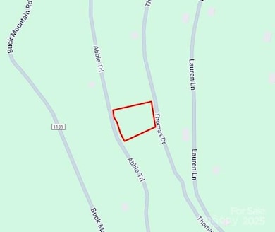 0000 Abbie Trail, West Jefferson, NC 28694 - photo 2