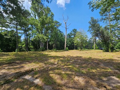 14 Jolly Roger Point, Carriere, MS 39426 - photo 5