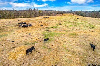0 Texas 11 unit 10116557, Ector, TX 75439 - photo 5