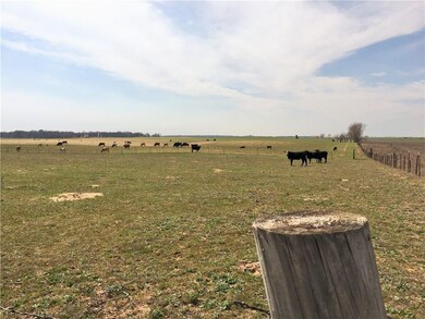 View west from the back of the property