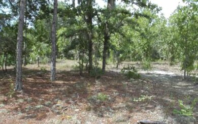 542 Angel Glen, Fort White, FL 32038 - photo 4