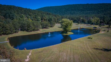 16480 Cacapon Rd, Great Cacapon, WV 25422 - photo 5