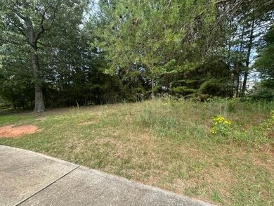 101 Cottage Ln, Toccoa, GA 30577 - photo 7