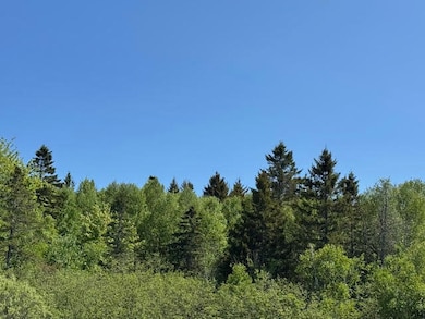 104 County Rd, Eastport, ME 04631 - photo 2