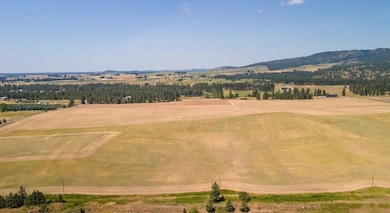 13505 E Gibbs Rd, Valleyford, WA 99023 - photo 5