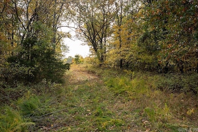 8 Cr 663, Oak Grove, AR 72660 - photo 6