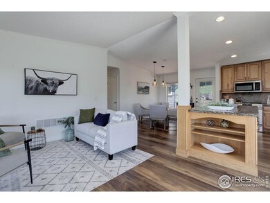 1553 Rowell Dr, Lyons, CO 80540 - photo 6