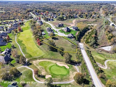 3182 W Bluffview St, Springfield, MO 65810 - photo 6