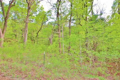 Lot 1 Lakecrest Dr, Pottsboro, TX 75076 - photo 6