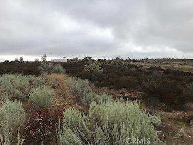 0 Cary Rd unit SW23170271, Anza, CA - photo 3