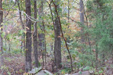 0 Dily Cir unit 1163213, Bella Vista, AR 72715 - photo 4