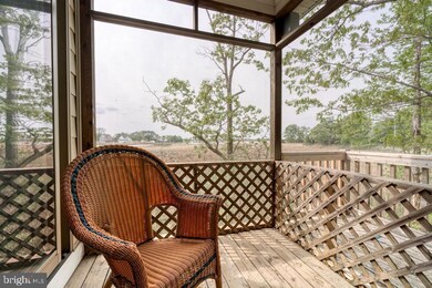 5919 New St, Rock Hall, MD 21661 - photo 5