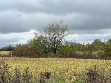 5153 NE 1004 Rd, Butler, MO 64730 - photo 6