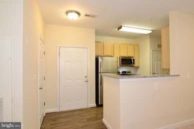 22607 Blue Elder Terrace unit 204, Ashburn, VA 20148 - photo 4