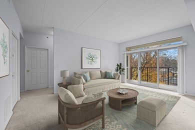 3115 Town Square Dr unit 206, Rolling Meadows, IL 60008 - photo 3