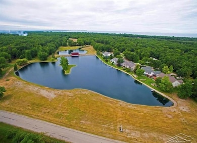 0 Gagetown Rd unit 50073948, Caseville, MI 48725 - photo 5