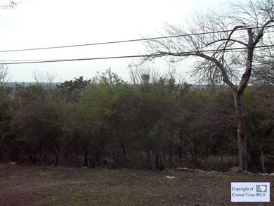 17 Timbercrest St, San Marcos, TX 78666 - photo 6