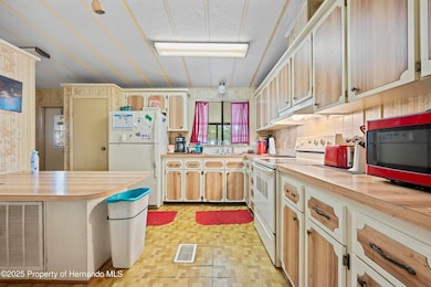 7373 Fall St, Brooksville, FL 34613 - photo 4