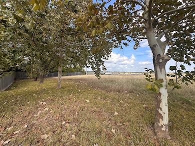 1809 Neal St, Navasota, TX 77868 - photo 3