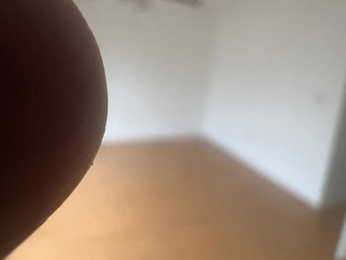 5292 Bosque Ln unit 59, West Palm Beach, FL 33415 - photo 5