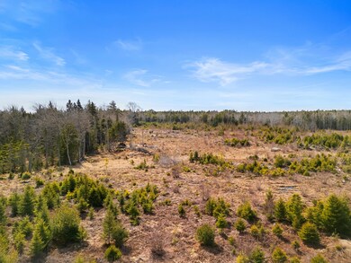 DJI_20250322120557_0737_D