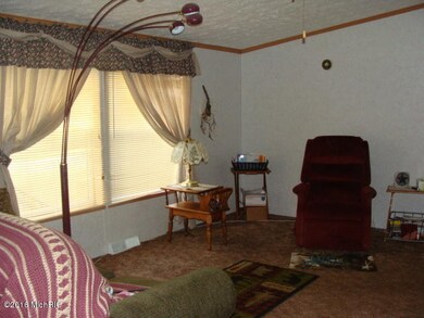 5617 Stedman Rd, Ionia, MI 48846 - photo 6