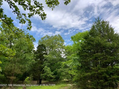 Beautiful mature landscape