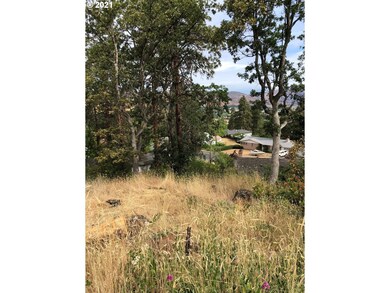 0 W Scenic Dr, the Dalles, OR 97058 - photo 2