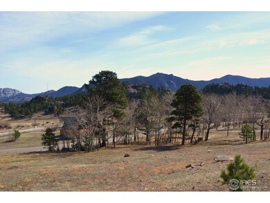 Mix of Aspen, Willows and Pines