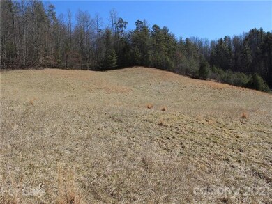 00 Will Anglin Rd, Price Creek, NC 28714 - photo 5