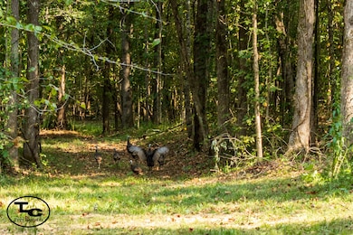 0 Tennessee 125, Henderson, TN 38340 - photo 3