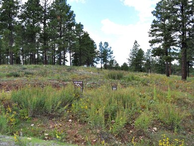 lot 59