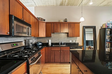 210 S Water St unit 218, Milwaukee, WI 53204 - photo 2