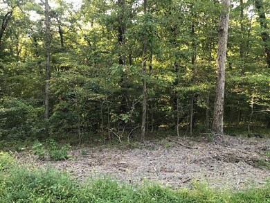 0 Camborne Dr unit 1227539, Bella Vista, AR 72714 - photo 5