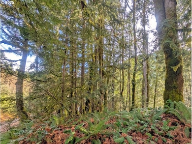 00971354 E Rolling Green Ct, Mount Hood Village, OR 97067 - photo 3