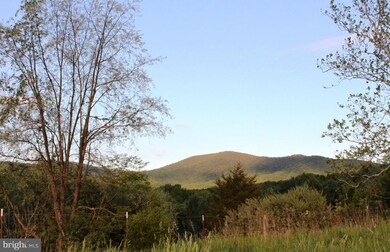 0 Evergreen Ct unit 1000403659, Bentonville, VA 22610 - photo 4