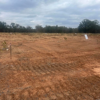 69 Corniche Cove, Maumelle, AR 72113 - photo 3