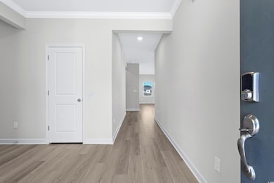 Hallway with crown molding and light hardwood / wo