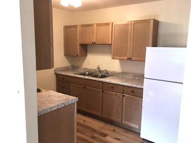 Scandia Updated Kitchen