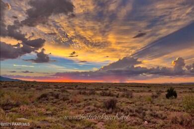 Screen Shot 2017-07-28 at 8.22.11 AM