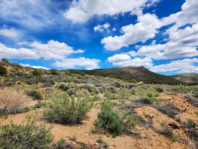 Dodson Rd, Blanca, CO 81123 - photo 3