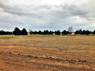 Lot 8D La Paloma 2 Dr, Gordonville, TX 76245 - photo 5