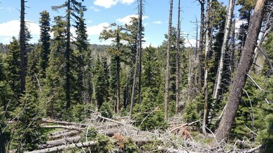 930 W Shale Cir unit ZVME E-130, Duck Creek Village, UT 84762 - photo 3