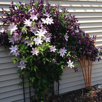 1308 Leawood Ct, Naperville, IL 60564 - photo 2