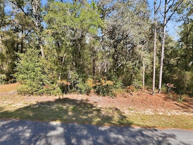 2237 W Striblin Dr, Dunnellon, FL 34434 - photo 7